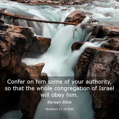 Picture 03 - Numbers 27:20 BSB - Confer on him some of your authority, so that the - Bible Verse Picture