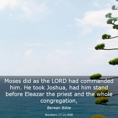 Picture 03 - Numbers 27:22 BSB - Moses did as the LORD had commanded him. He took - Bible Verse Picture