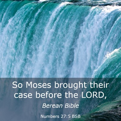 Picture 03 - Numbers 27:5 BSB - So Moses brought their case before the - Bible Verse Picture