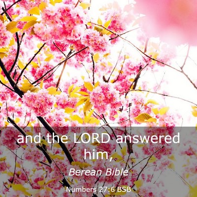 Picture 03 - Numbers 27:6 BSB - and the LORD answered - Bible Verse Picture