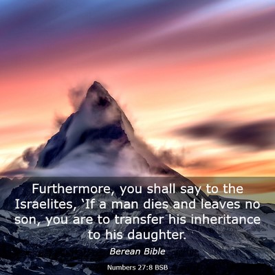 Picture 03 - Numbers 27:8 BSB - Furthermore, you shall say to the Israelites, - Bible Verse Picture