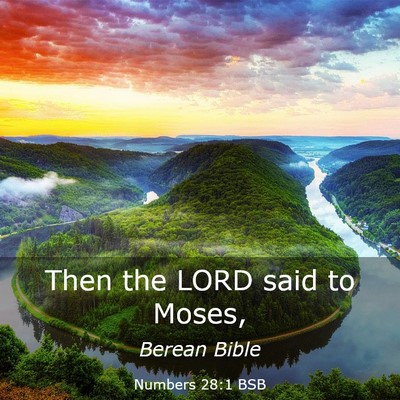 Picture 03 - Numbers 28:1 BSB - Then the LORD said to - Bible Verse Picture
