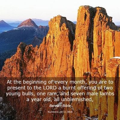 Picture 03 - Numbers 28:11 BSB - At the beginning of every month, you are to - Bible Verse Picture