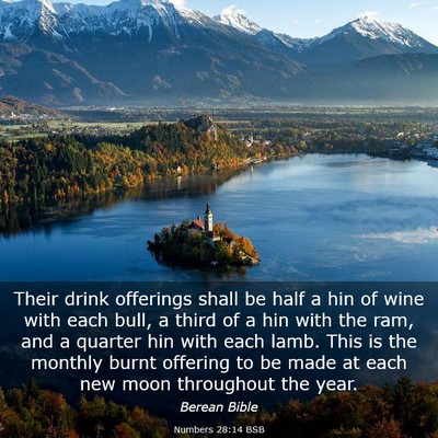 Picture 03 - Numbers 28:14 BSB - Their drink offerings shall be half a hin of wine - Bible Verse Picture