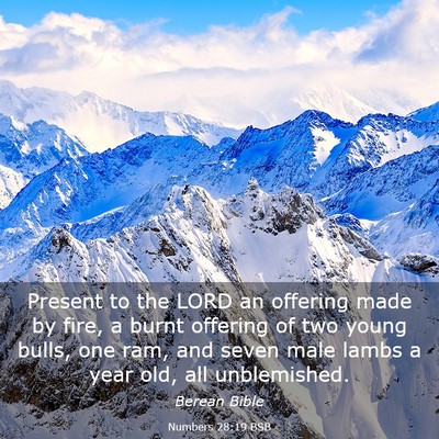 Picture 03 - Numbers 28:19 BSB - Present to the LORD an offering made by fire, a - Bible Verse Picture