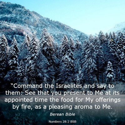 Picture 03 - Numbers 28:2 BSB - “Command the Israelites and say to them: See - Bible Verse Picture