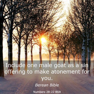Picture 03 - Numbers 28:22 BSB - Include one male goat as a sin offering to make - Bible Verse Picture