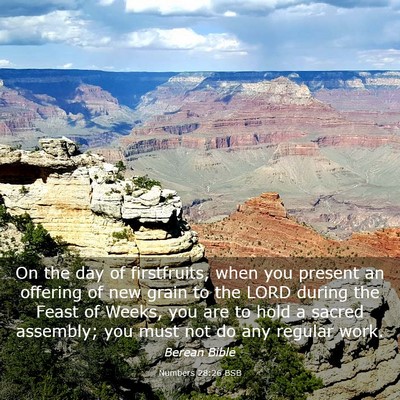 Picture 03 - Numbers 28:26 BSB - On the day of firstfruits, when you present an - Bible Verse Picture