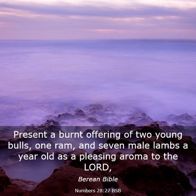 Picture 03 - Numbers 28:27 BSB - Present a burnt offering of two young bulls, one - Bible Verse Picture