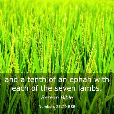 Picture 03 - Numbers 28:29 BSB - and a tenth of an ephah with each of the seven - Bible Verse Picture
