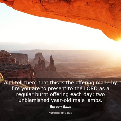 Picture 03 - Numbers 28:3 BSB - And tell them that this is the offering made by - Bible Verse Picture