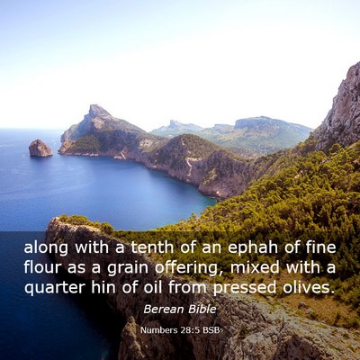 Picture 03 - Numbers 28:5 BSB - along with a tenth of an ephah of fine flour as a - Bible Verse Picture