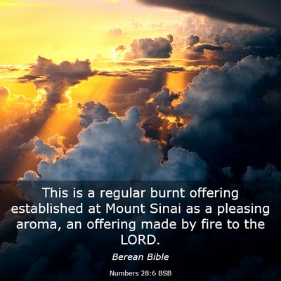 Picture 03 - Numbers 28:6 BSB - This is a regular burnt offering established at - Bible Verse Picture