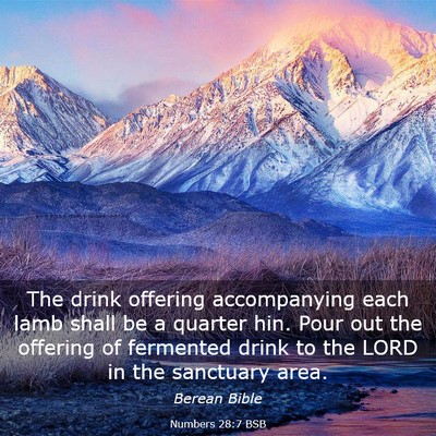 Picture 03 - Numbers 28:7 BSB - The drink offering accompanying each lamb shall - Bible Verse Picture