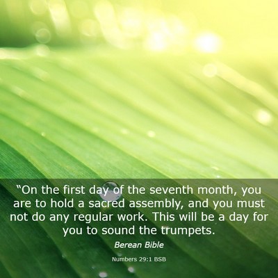 Picture 03 - Numbers 29:1 BSB - “On the first day of the seventh month, you are - Bible Verse Picture