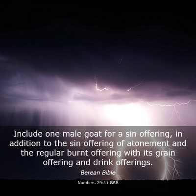 Picture 03 - Numbers 29:11 BSB - Include one male goat for a sin offering, in - Bible Verse Picture