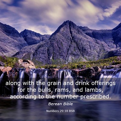 Picture 03 - Numbers 29:18 BSB - along with the grain and drink offerings for the - Bible Verse Picture