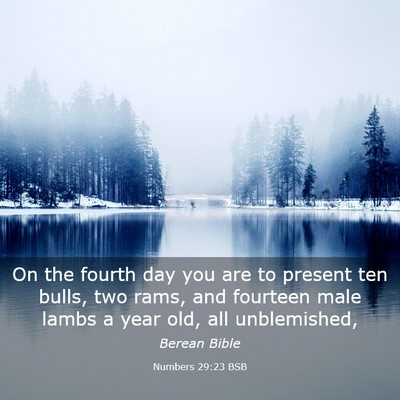 Picture 03 - Numbers 29:23 BSB - On the fourth day you are to present ten bulls, - Bible Verse Picture