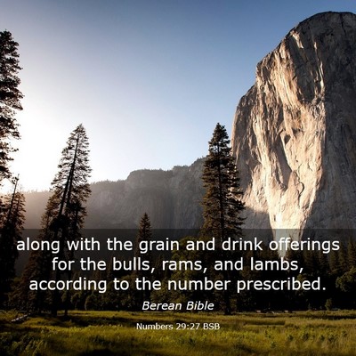 Picture 03 - Numbers 29:27 BSB - along with the grain and drink offerings for the - Bible Verse Picture