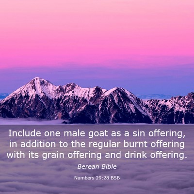 Picture 03 - Numbers 29:28 BSB - Include one male goat as a sin offering, in - Bible Verse Picture