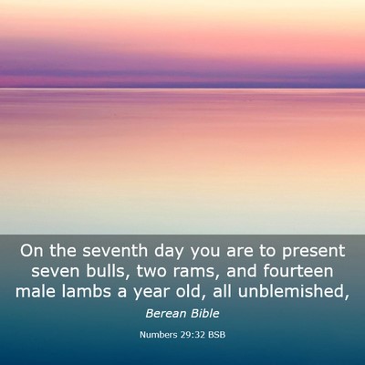 Picture 03 - Numbers 29:32 BSB - On the seventh day you are to present seven - Bible Verse Picture