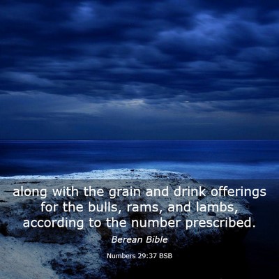Picture 03 - Numbers 29:37 BSB - along with the grain and drink offerings for the - Bible Verse Picture