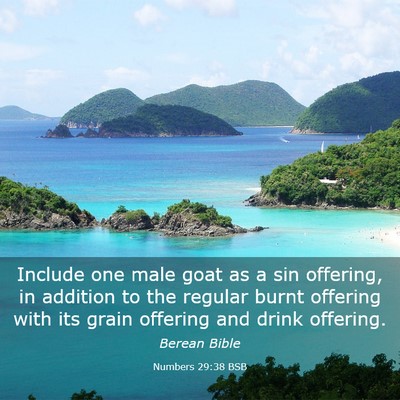 Picture 03 - Numbers 29:38 BSB - Include one male goat as a sin offering, in - Bible Verse Picture