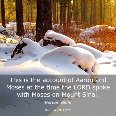 Picture 03 - Numbers 3:1 BSB - This is the account of Aaron and Moses at the - Bible Verse Picture