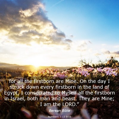 Picture 03 - Numbers 3:13 BSB - for all the firstborn are Mine. On the day I - Bible Verse Picture