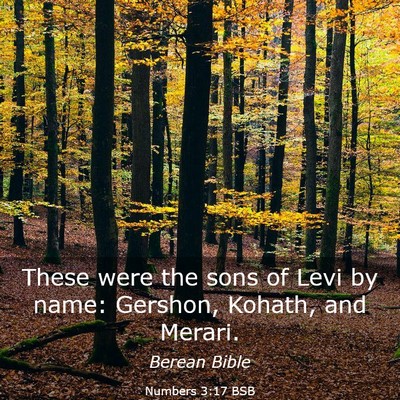 Picture 03 - Numbers 3:17 BSB - These were the sons of Levi by name: Gershon, - Bible Verse Picture