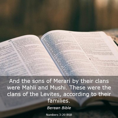 Picture 03 - Numbers 3:20 BSB - And the sons of Merari by their clans were Mahli - Bible Verse Picture
