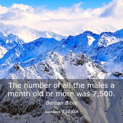 Picture 03 - Numbers 3:22 BSB - The number of all the males a month old or more - Bible Verse Picture