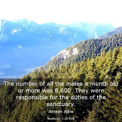Picture 03 - Numbers 3:28 BSB - The number of all the males a month old or more - Bible Verse Picture