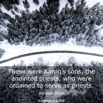 Picture 03 - Numbers 3:3 BSB - These were Aaron’s sons, the anointed priests, - Bible Verse Picture