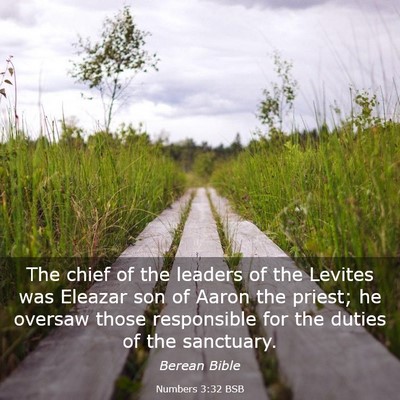 Picture 03 - Numbers 3:32 BSB - The chief of the leaders of the Levites was - Bible Verse Picture