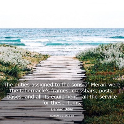Picture 03 - Numbers 3:36 BSB - The duties assigned to the sons of Merari were - Bible Verse Picture