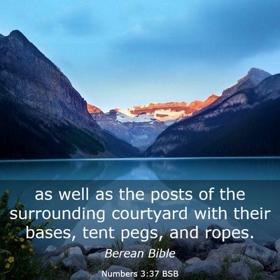 Picture 03 - Numbers 3:37 BSB - as well as the posts of the surrounding courtyard - Bible Verse Picture