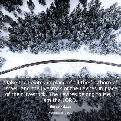 Picture 03 - Numbers 3:45 BSB - “Take the Levites in place of all the firstborn - Bible Verse Picture