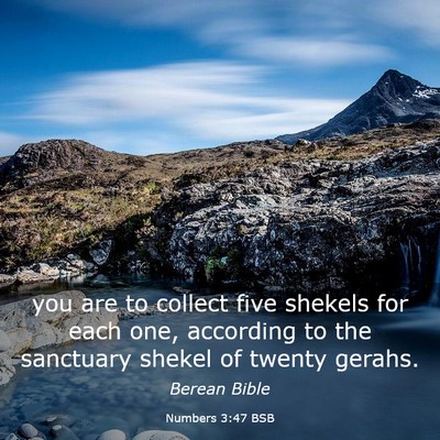 Picture 03 - Numbers 3:47 BSB - you are to collect five shekels for each one, - Bible Verse Picture