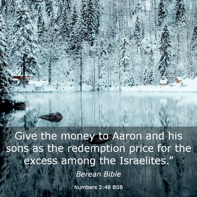 Picture 03 - Numbers 3:48 BSB - Give the money to Aaron and his sons as the - Bible Verse Picture