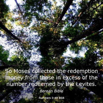 Picture 03 - Numbers 3:49 BSB - So Moses collected the redemption money from - Bible Verse Picture