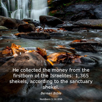 Picture 03 - Numbers 3:50 BSB - He collected the money from the firstborn of the - Bible Verse Picture