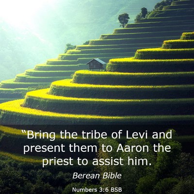 Picture 03 - Numbers 3:6 BSB - “Bring the tribe of Levi and present them to - Bible Verse Picture