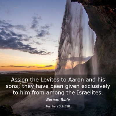 Picture 03 - Numbers 3:9 BSB - Assign the Levites to Aaron and his sons; they - Bible Verse Picture