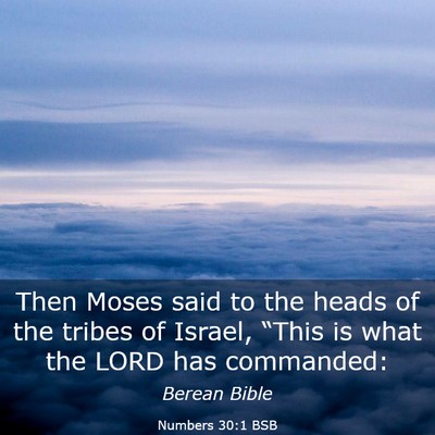 Picture 03 - Numbers 30:1 BSB - Then Moses said to the heads of the tribes of - Bible Verse Picture