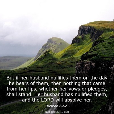 Picture 03 - Numbers 30:12 BSB - But if her husband nullifies them on the day he - Bible Verse Picture