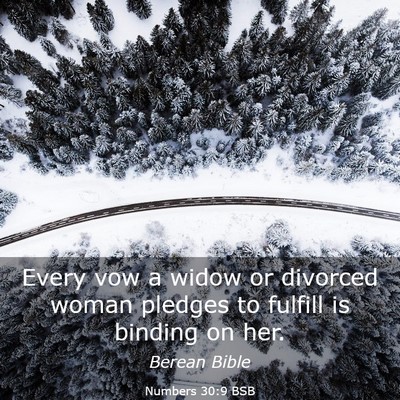 Picture 03 - Numbers 30:9 BSB - Every vow a widow or divorced woman pledges to - Bible Verse Picture