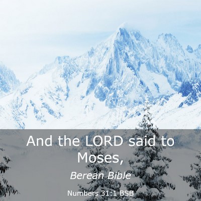 Picture 03 - Numbers 31:1 BSB - And the LORD said to - Bible Verse Picture