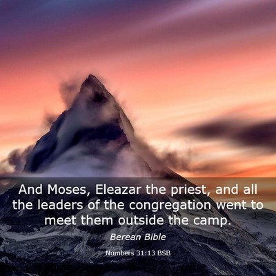 Picture 03 - Numbers 31:13 BSB - And Moses, Eleazar the priest, and all the - Bible Verse Picture
