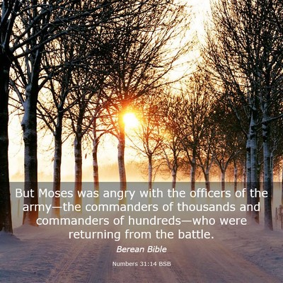 Picture 03 - Numbers 31:14 BSB - But Moses was angry with the officers of the - Bible Verse Picture